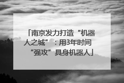南京发力打造“机器人之城”：用3年时间“强攻”具身机器人