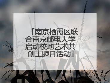 南京栖霞区联合南京邮电大学启动校地艺术共创主题月活动