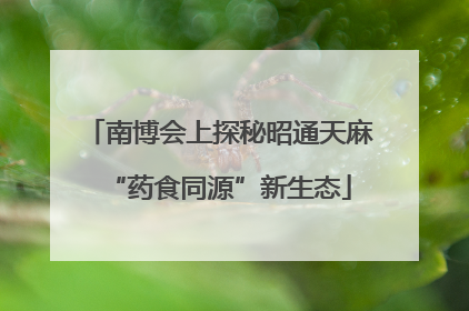 南博会上探秘昭通天麻“药食同源”新生态