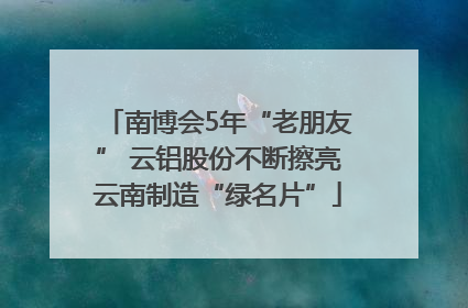 南博会5年“老朋友” 云铝股份不断擦亮云南制造“绿名片”