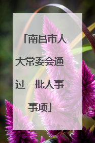 南昌市人大常委会通过一批人事事项