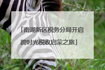 南湖新区税务分局开启跨时光税收启蒙之旅