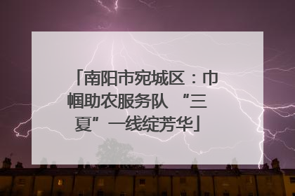 南阳市宛城区：巾帼助农服务队 “三夏”一线绽芳华