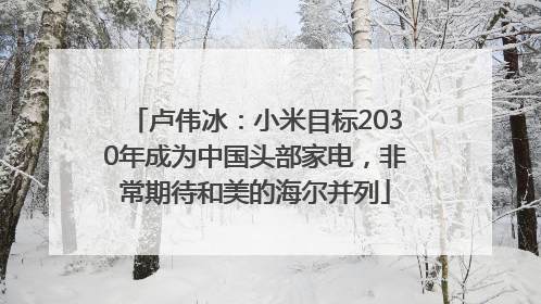 卢伟冰：小米目标2030年成为中国头部家电，非常期待和美的海尔并列