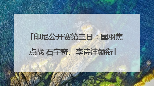 印尼公开赛第三日：国羽焦点战 石宇奇、李诗沣领衔