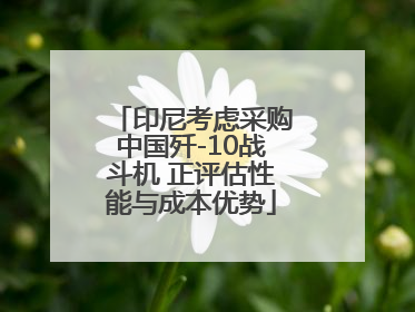 印尼考虑采购中国歼-10战斗机 正评估性能与成本优势