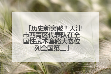 历史新突破！天津市西青区代表队在全国性武术套路大赛位列全国第三