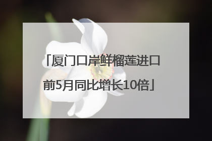 厦门口岸鲜榴莲进口 前5月同比增长10倍