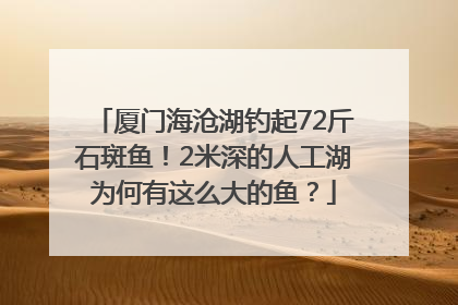 厦门海沧湖钓起72斤石斑鱼！2米深的人工湖为何有这么大的鱼？