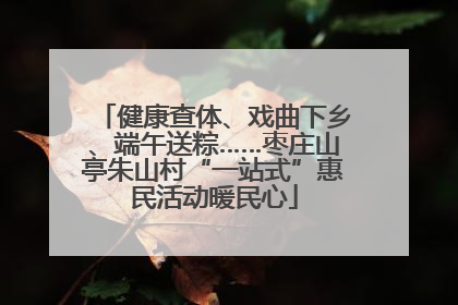 健康查体、戏曲下乡、端午送粽……枣庄山亭朱山村“一站式”惠民活动暖民心