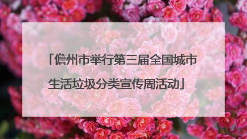 儋州市举行第三届全国城市生活垃圾分类宣传周活动