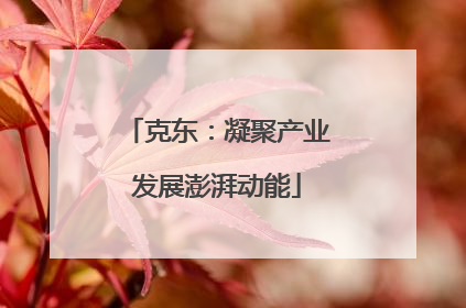 克东：凝聚产业发展澎湃动能