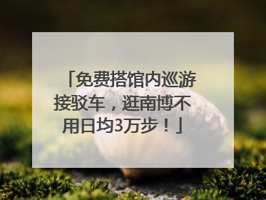 免费搭馆内巡游接驳车，逛南博不用日均3万步！