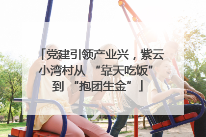 党建引领产业兴，紫云小湾村从 “靠天吃饭” 到 “抱团生金”