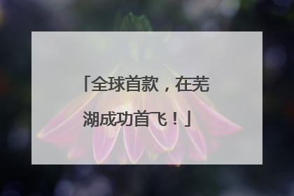 全球首款，在芜湖成功首飞！