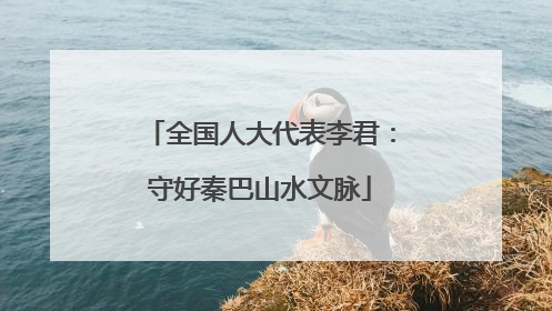 全国人大代表李君：守好秦巴山水文脉