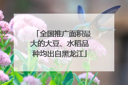 全国推广面积最大的大豆、水稻品种均出自黑龙江