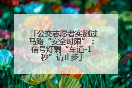 公交志愿者实测过马路“安全时限”：信号灯剩“车道-1秒”请止步