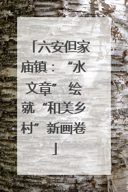 六安但家庙镇：“水文章” 绘就“和美乡村”新画卷