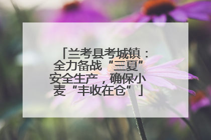 兰考县考城镇：全力备战“三夏”安全生产，确保小麦“丰收在仓”