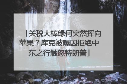 关税大棒缘何突然挥向苹果？库克被曝因拒绝中东之行触怒特朗普