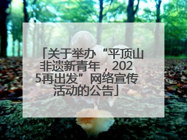 关于举办“平顶山非遗新青年，2025再出发”网络宣传活动的公告