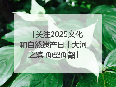 关注2025文化和自然遗产日丨大河之滨 仰望仰韶