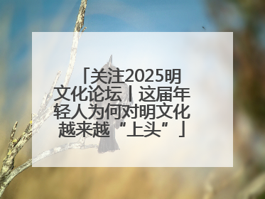 关注2025明文化论坛丨这届年轻人为何对明文化越来越“上头”