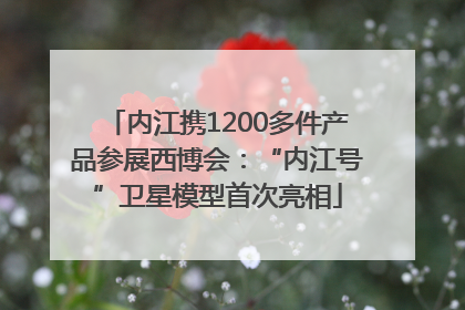 内江携1200多件产品参展西博会：“内江号”卫星模型首次亮相