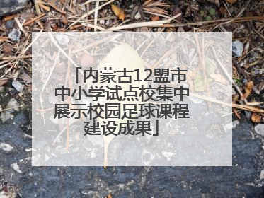内蒙古12盟市中小学试点校集中展示校园足球课程建设成果