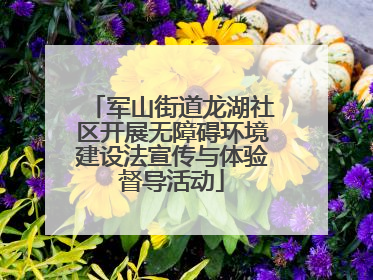 军山街道龙湖社区开展无障碍环境建设法宣传与体验督导活动