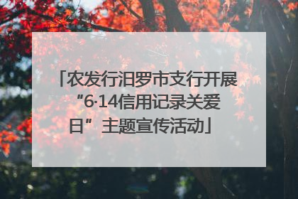 农发行汨罗市支行开展“6·14信用记录关爱日”主题宣传活动