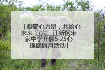 凝聚心力量，共绘心未来 宜宾三江新区宋家中学开展5·25心理健康月活动