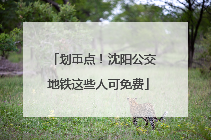 划重点！沈阳公交地铁这些人可免费