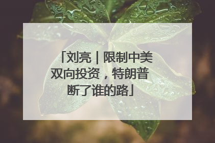 刘亮｜限制中美双向投资，特朗普断了谁的路