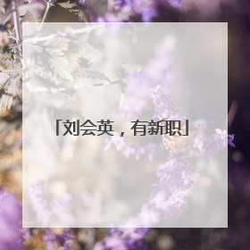 刘会英，有新职