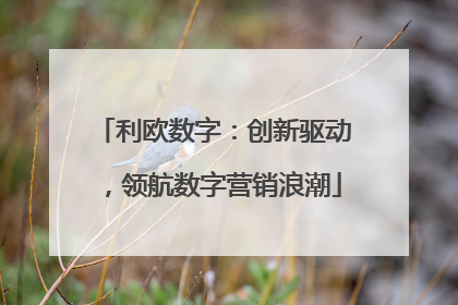 利欧数字：创新驱动，领航数字营销浪潮