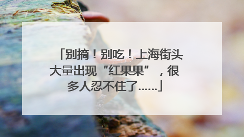 别摘！别吃！上海街头大量出现“红果果”，很多人忍不住了……