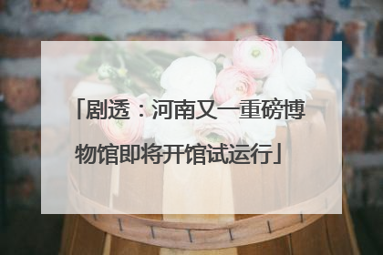 剧透：河南又一重磅博物馆即将开馆试运行