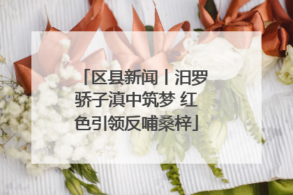 区县新闻丨汨罗骄子滇中筑梦 红色引领反哺桑梓