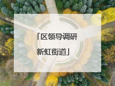 区领导调研新虹街道