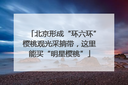 北京形成“环六环”樱桃观光采摘带，这里能买“明星樱桃”