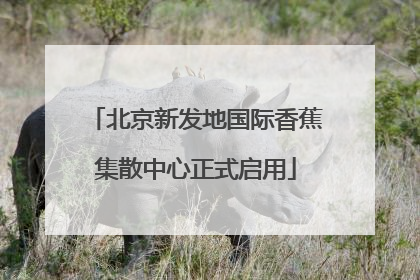 北京新发地国际香蕉集散中心正式启用