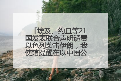 埃及、约旦等21国发表联合声明谴责以色列袭击伊朗，我使馆提醒在以中国公民尽快陆路离境