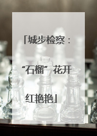 城步检察：“石榴”花开红艳艳