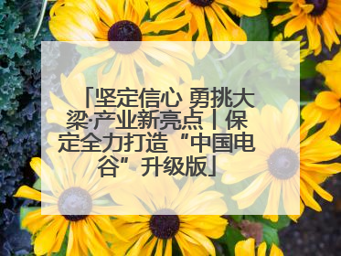 坚定信心 勇挑大梁·产业新亮点丨保定全力打造“中国电谷”升级版