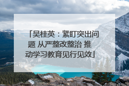 吴桂英：紧盯突出问题 从严整改整治 推动学习教育见行见效