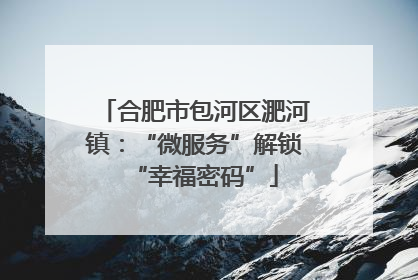合肥市包河区淝河镇：“微服务”解锁“幸福密码”
