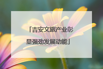 吉安文旅产业彰显强劲发展动能