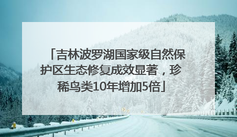 吉林波罗湖国家级自然保护区生态修复成效显著，珍稀鸟类10年增加5倍
